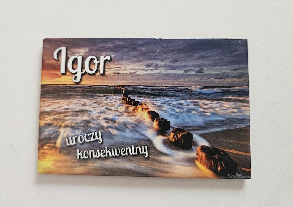Magnes na lodówkę - Igor