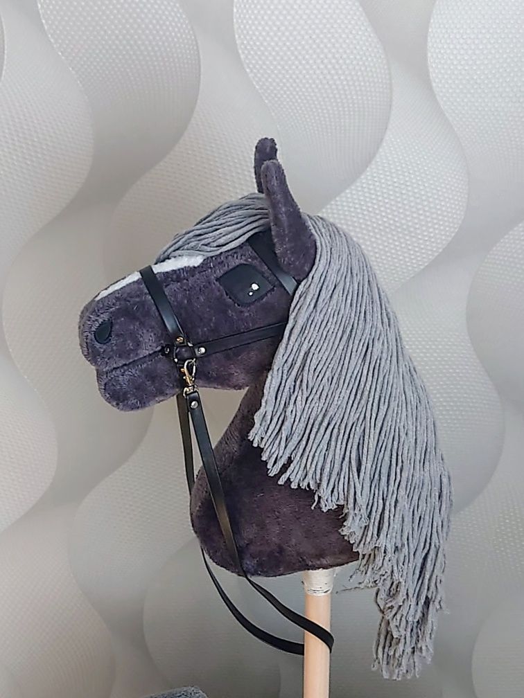 Hobby horse koniki