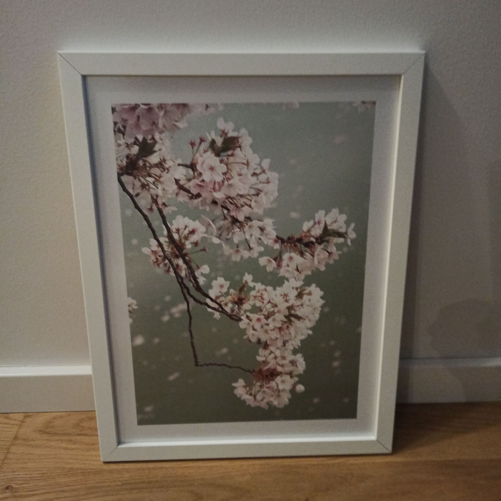 Obraz 30x40 kwitnąca wiśnia