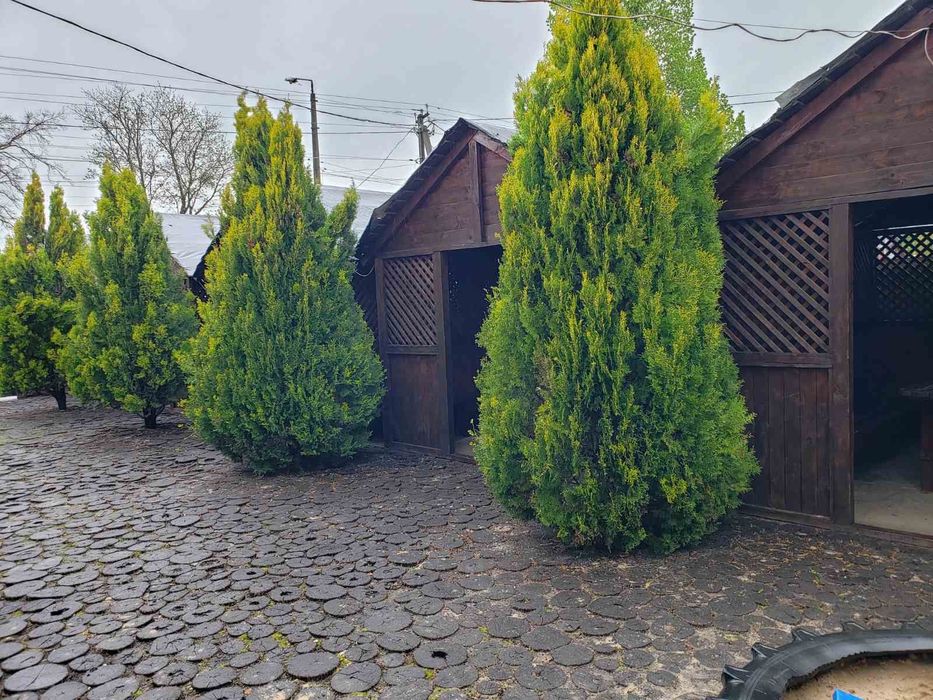 ПРОДАМ готовий бізнес кафе-бар