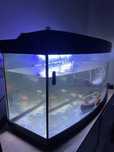 Aquario 200 litros