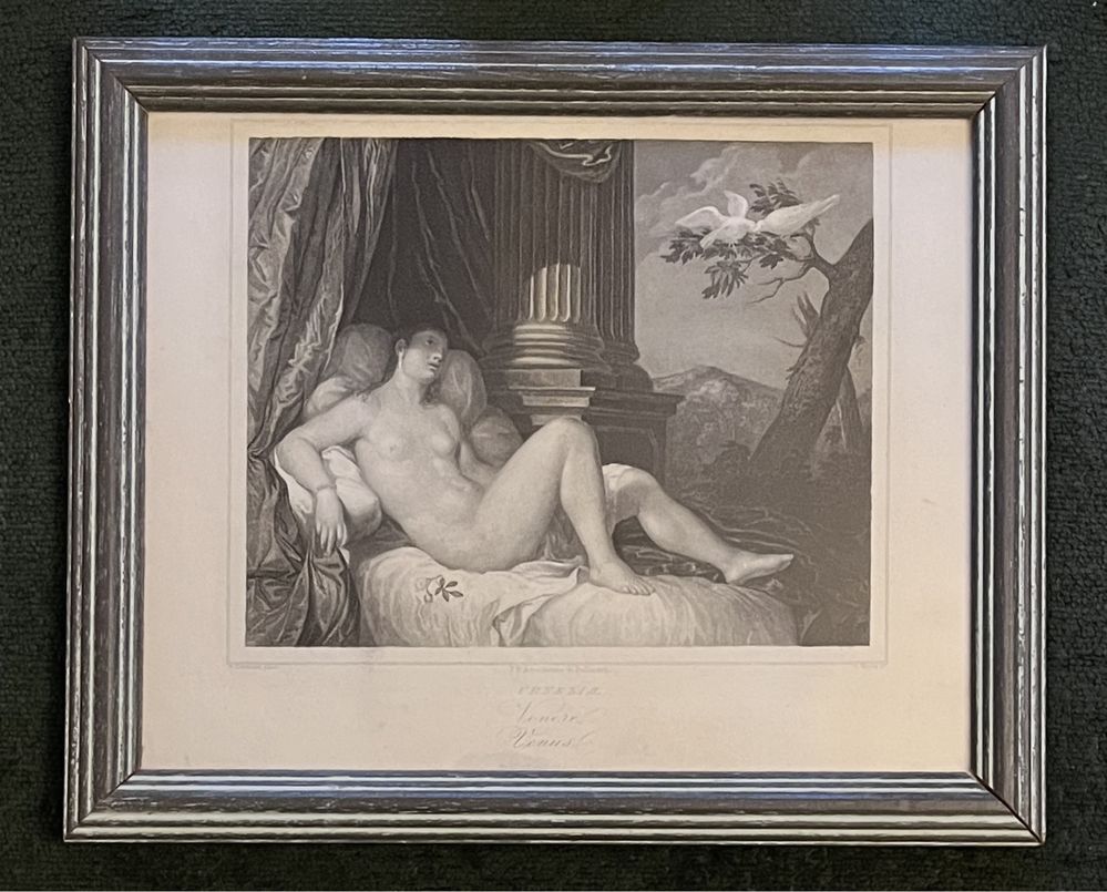 Staloryt „Naga Wenus” G. Contarini/ Geyer 1854r