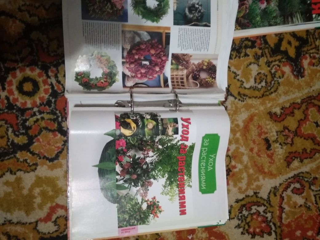 Комнатные растения и для садоводов журнал папка коллекция