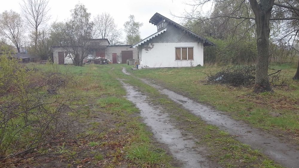 Sprzedam siedlisko na dużej i atrakcyjnej działce w centrum Polski