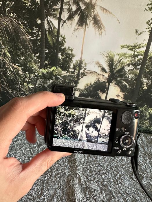 Sony Cybershot DSC-HX10V