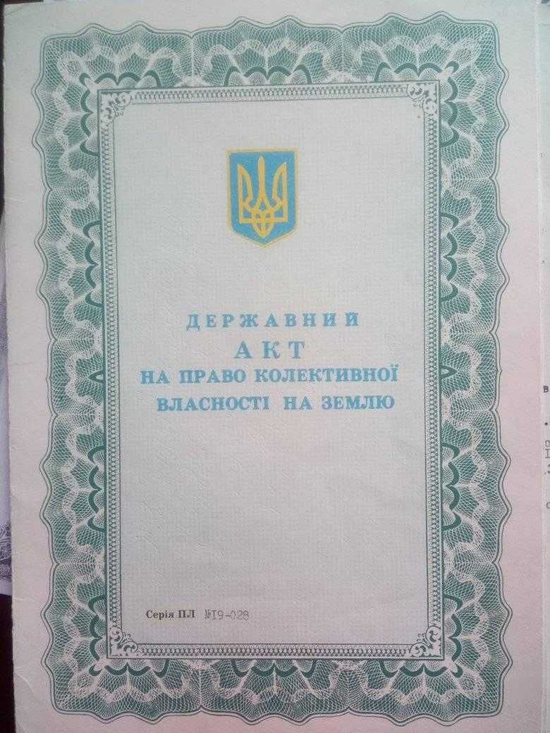 Земельна ділянка
