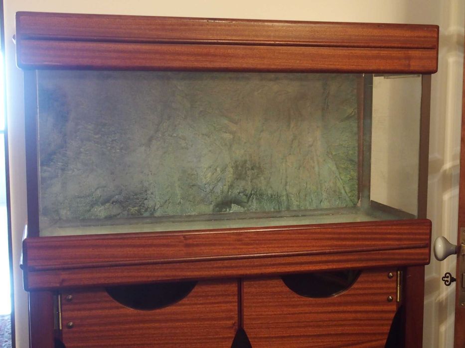 Venda de Aquário completo com filtros e móvel