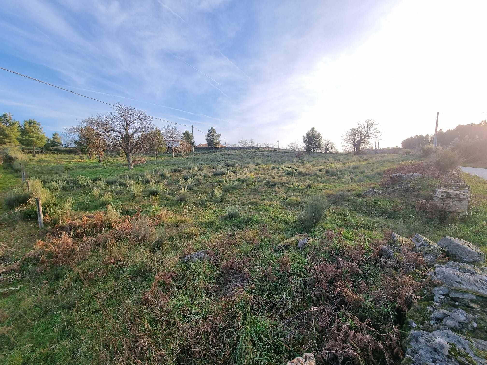 Terreno 7.000m2 (opção 13.000m2) para construção