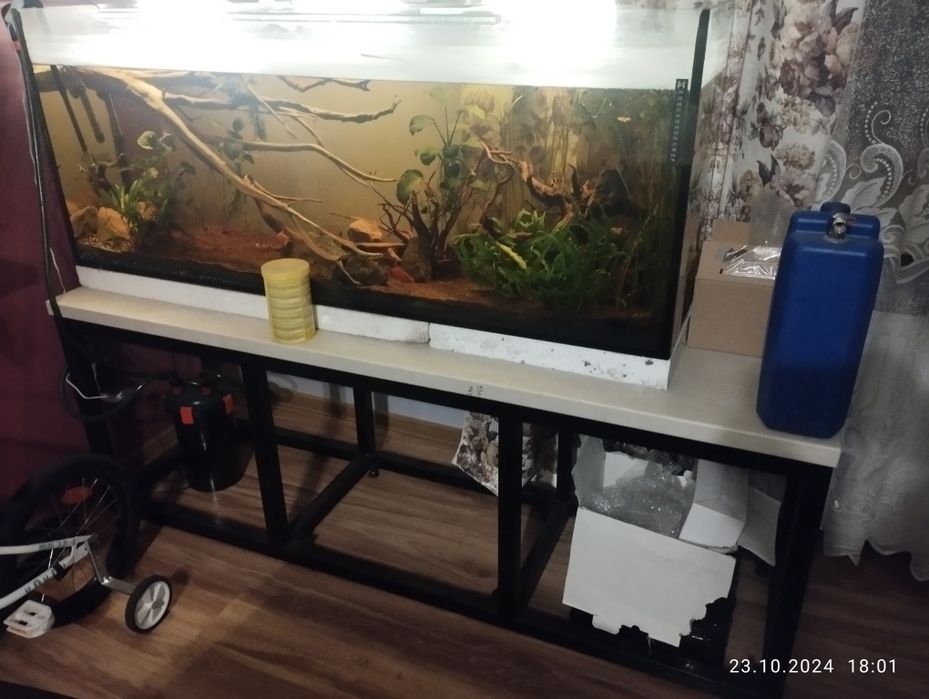 Akwarium ze stelazem