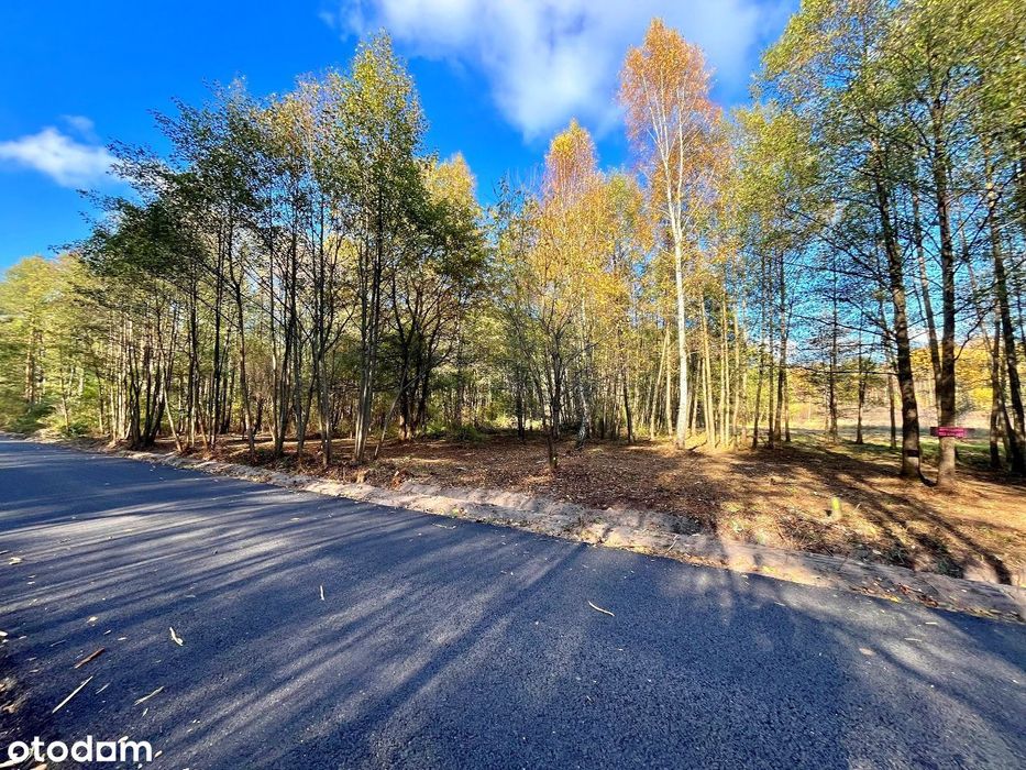 Gertrudów - działka budowlana - gmina Gomunice