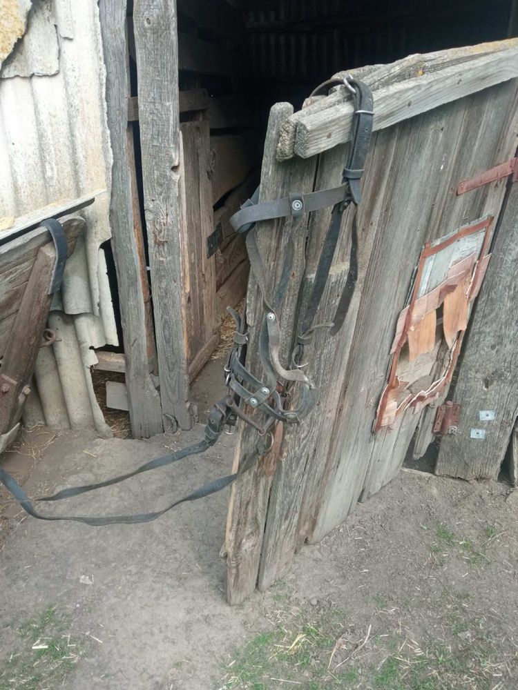 Продам шкіряну однокінну упряж