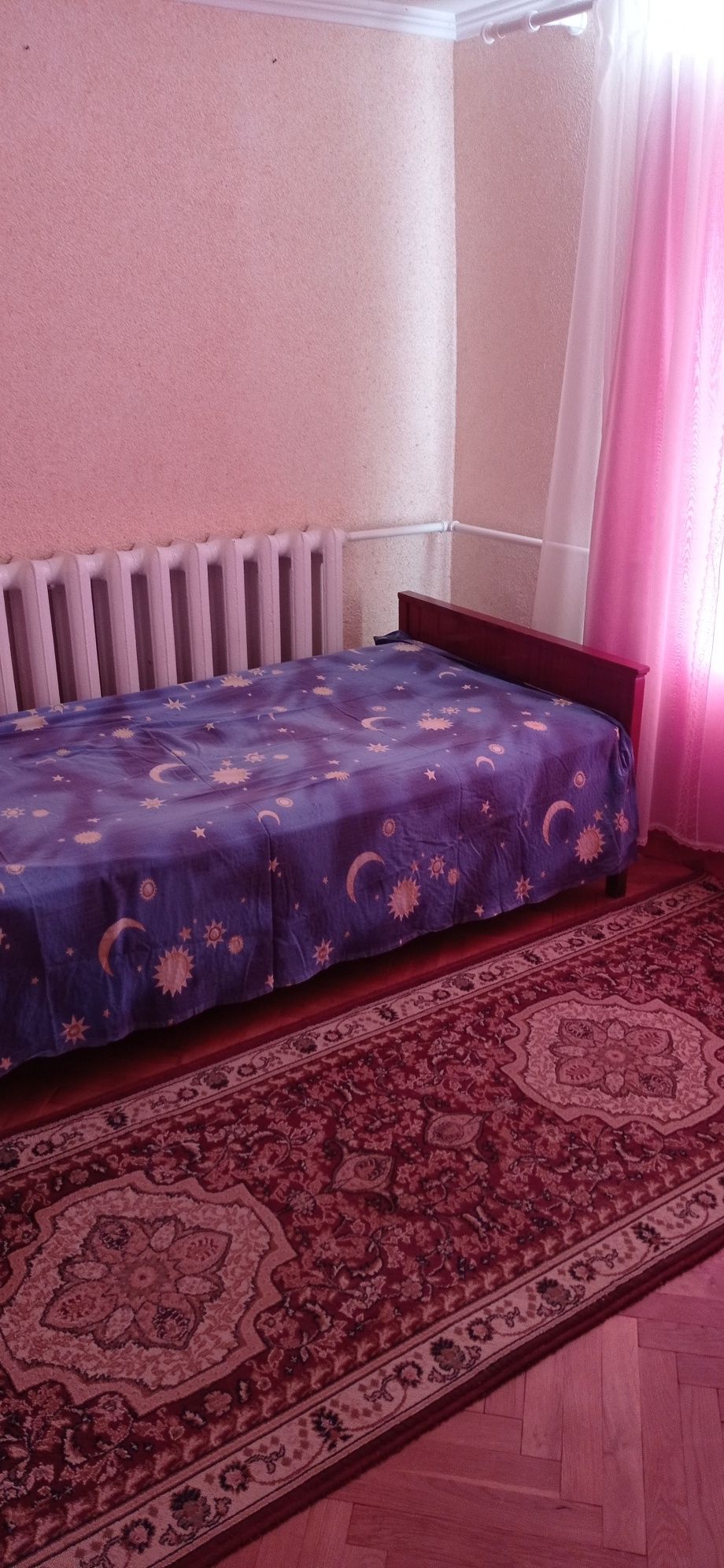 Продам будинок в смт Низи