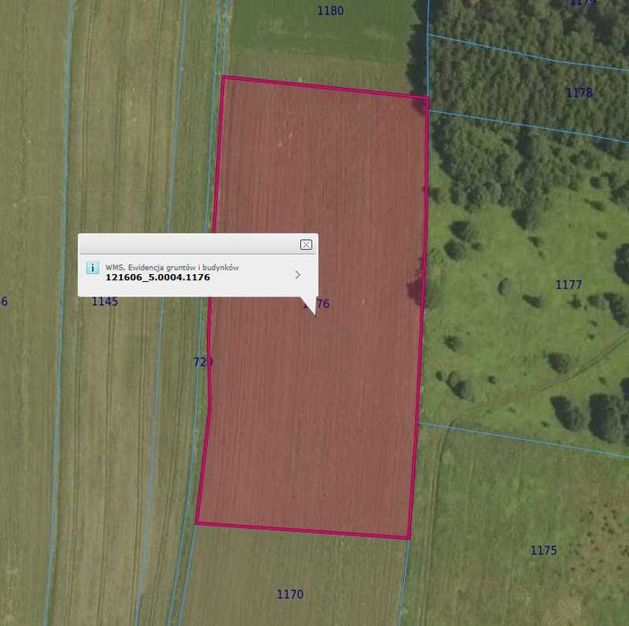 Grunty na sprzedaż- 2,96 ha