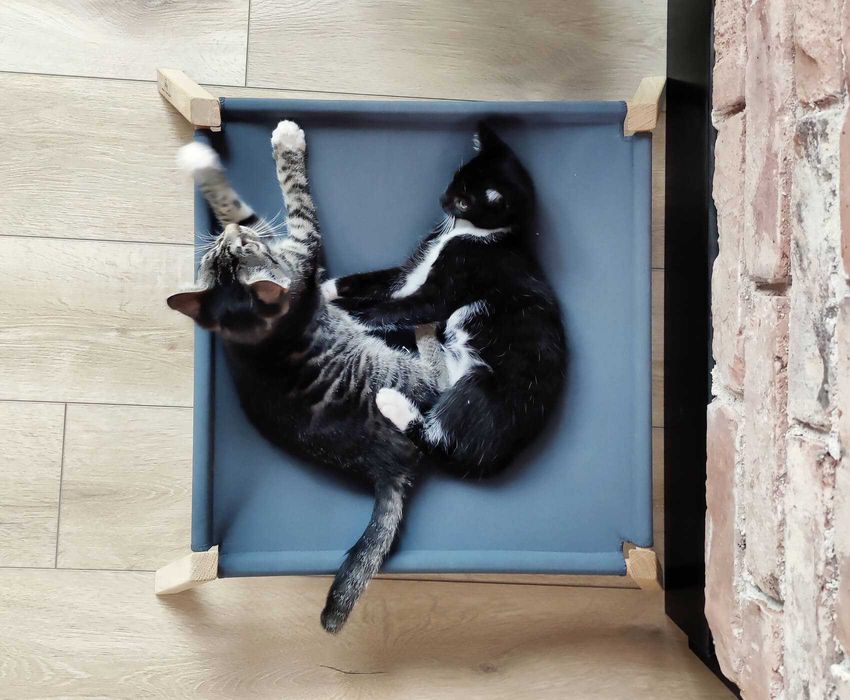 Legowisko dla kota podwyższone łóżko dla pupila nowoczesny design