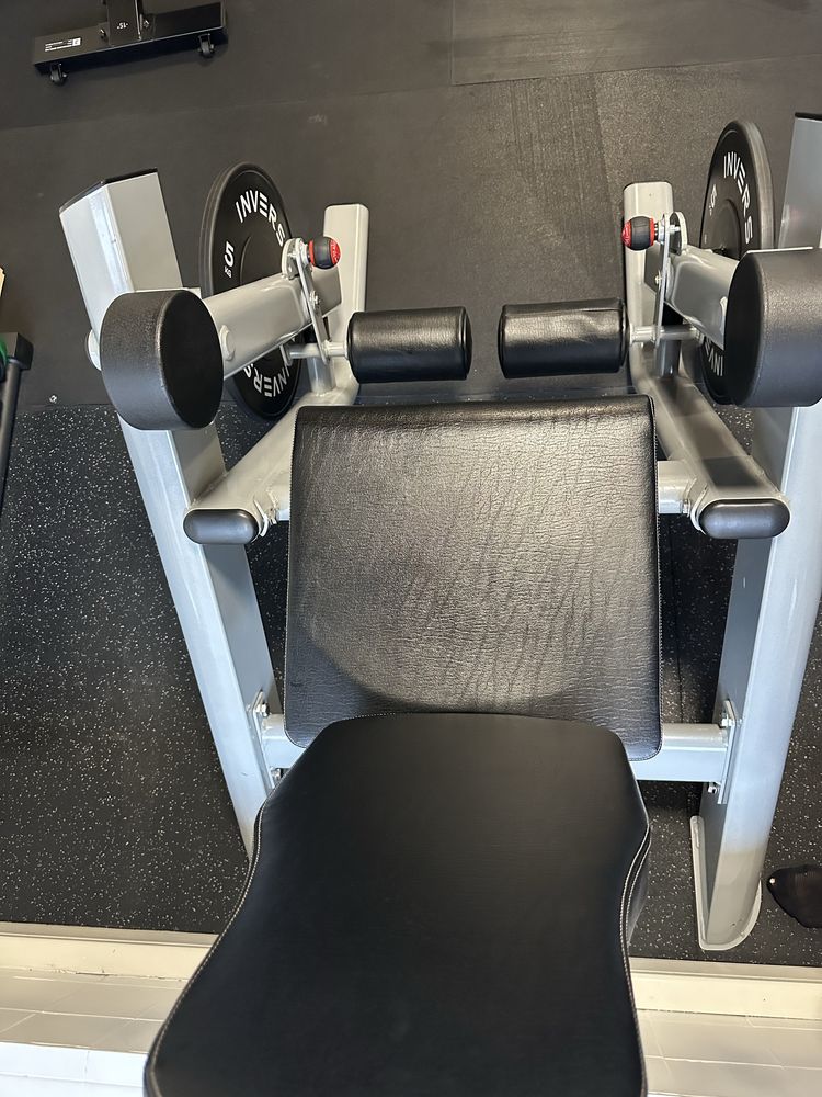 Leg extension peso livre