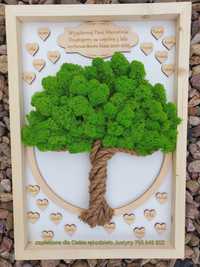 Drzewo dla nauczyciela w drewnianej ramce i