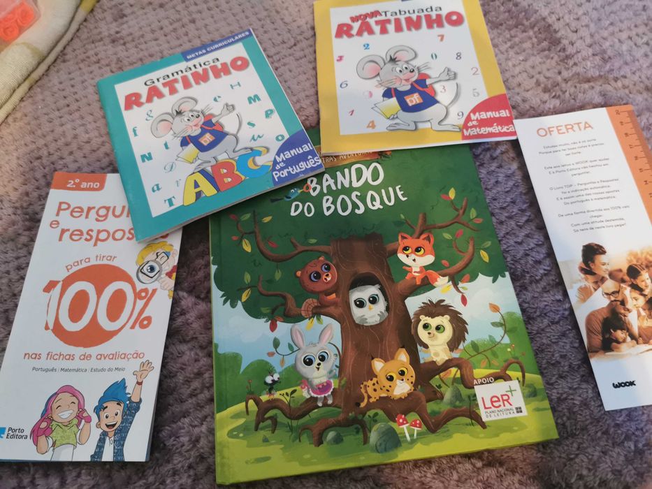 Conjuntos de livros da escola e um livro grande para ler todos os dias