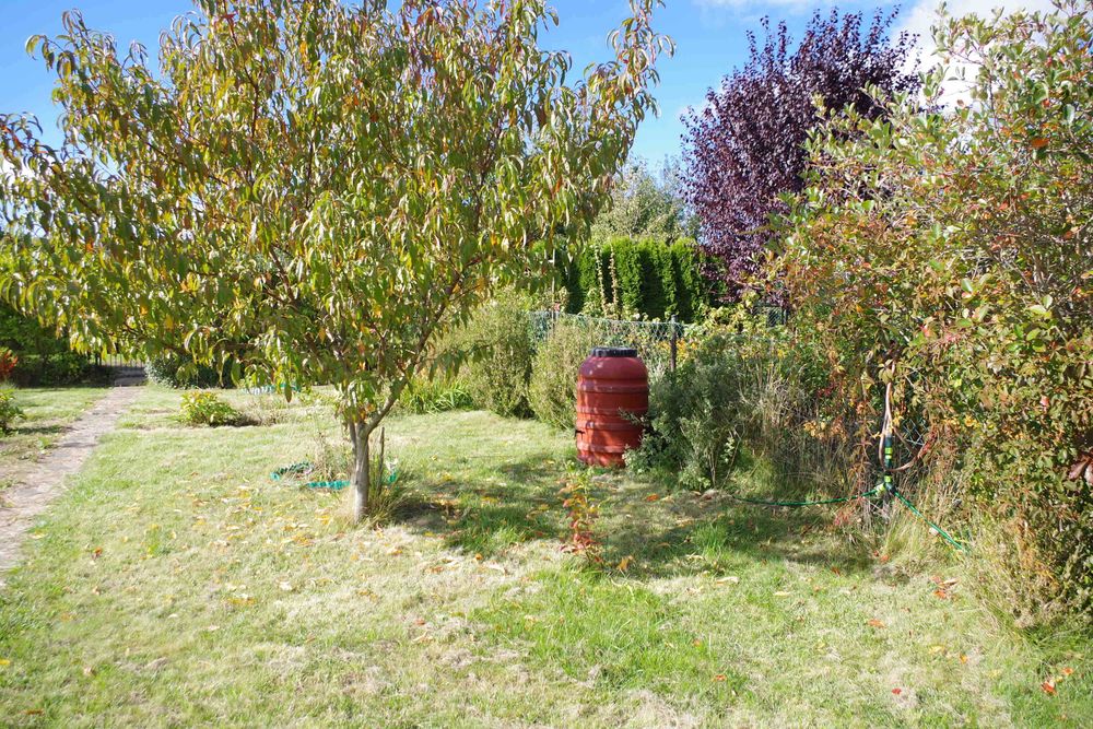 Działka Jamno ROD "Kwitnących jabłoni" z dużym potencjałem