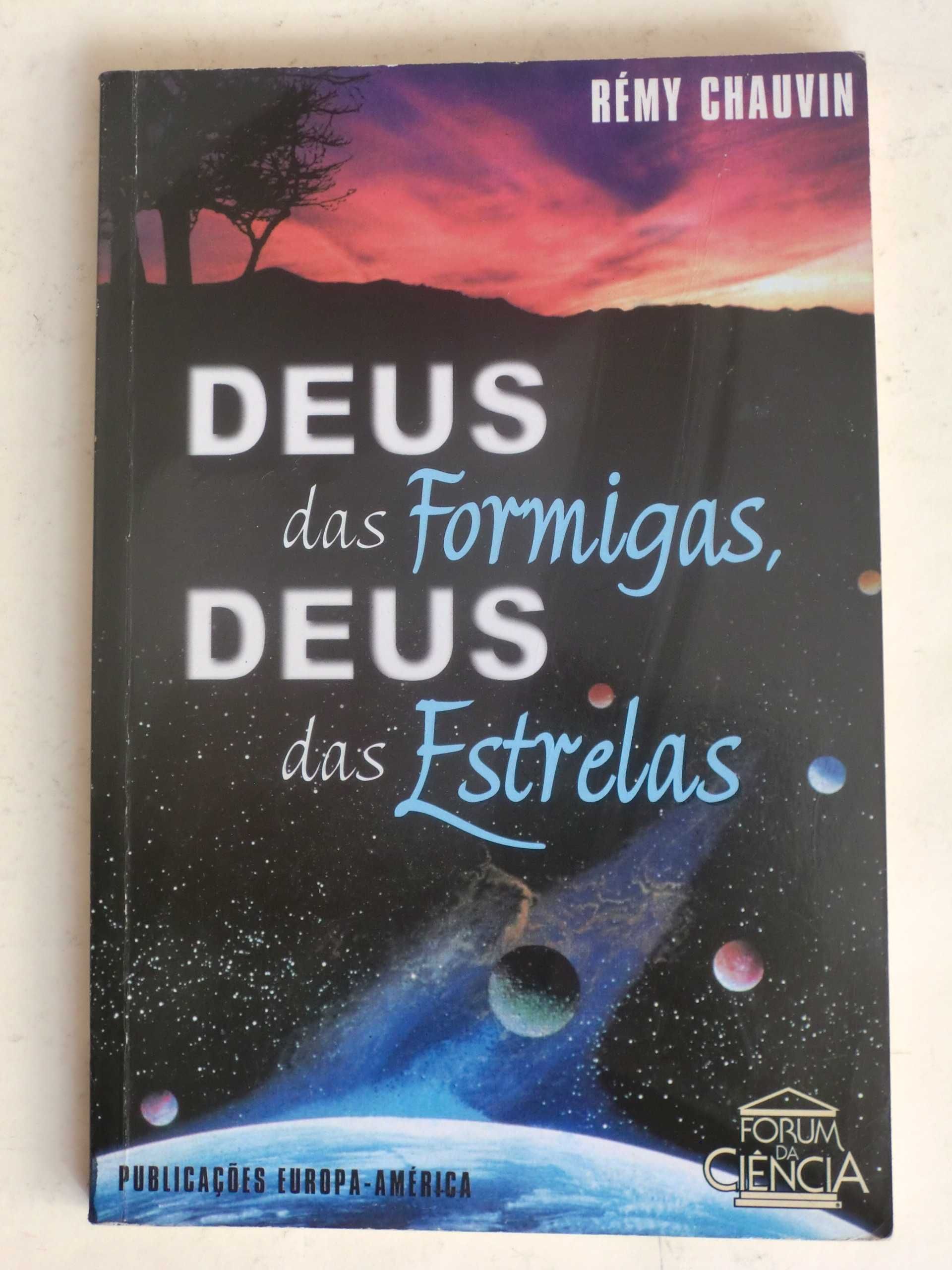 Deus das Formigas Deus das Estrelas
de Remy Chauvin