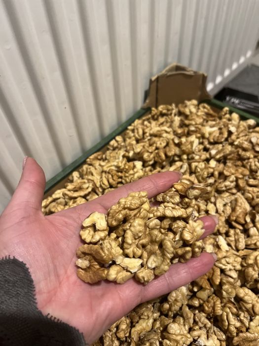 Orzech wloskie swieżo łuskane 3kg