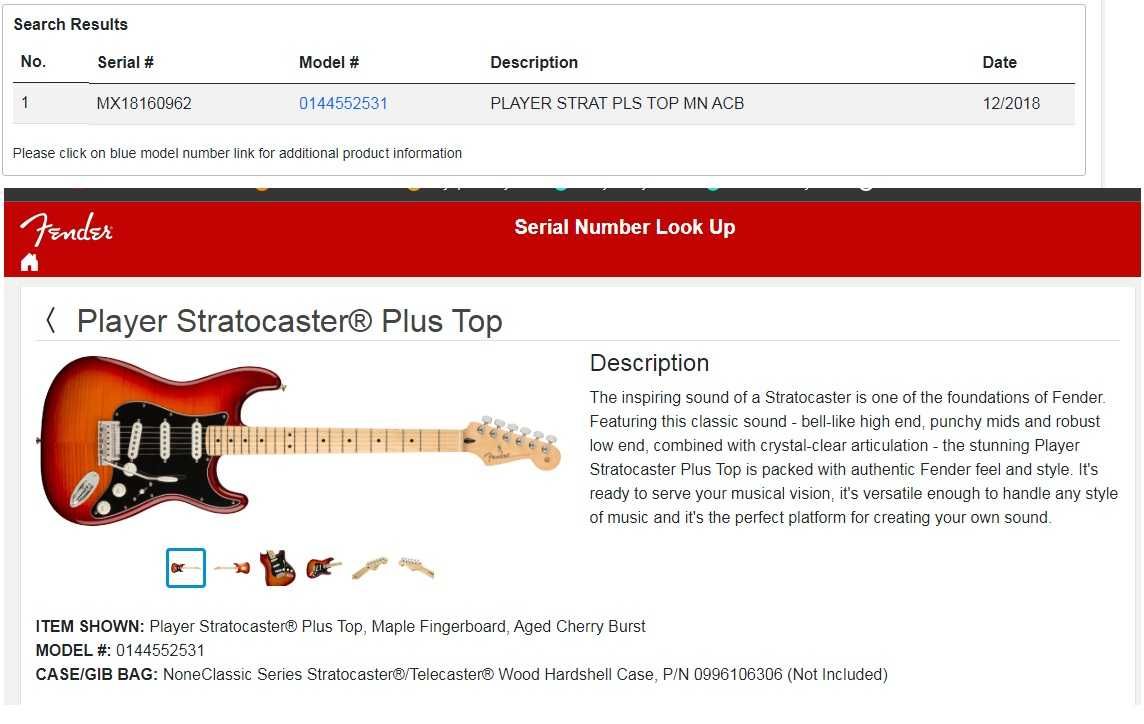 Fender Player Plus Top Stratocaster