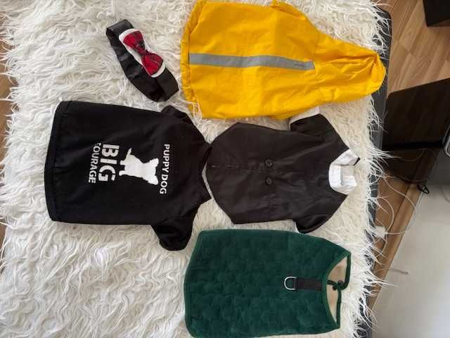 ubranka dla malego psa:york, maltanczyk