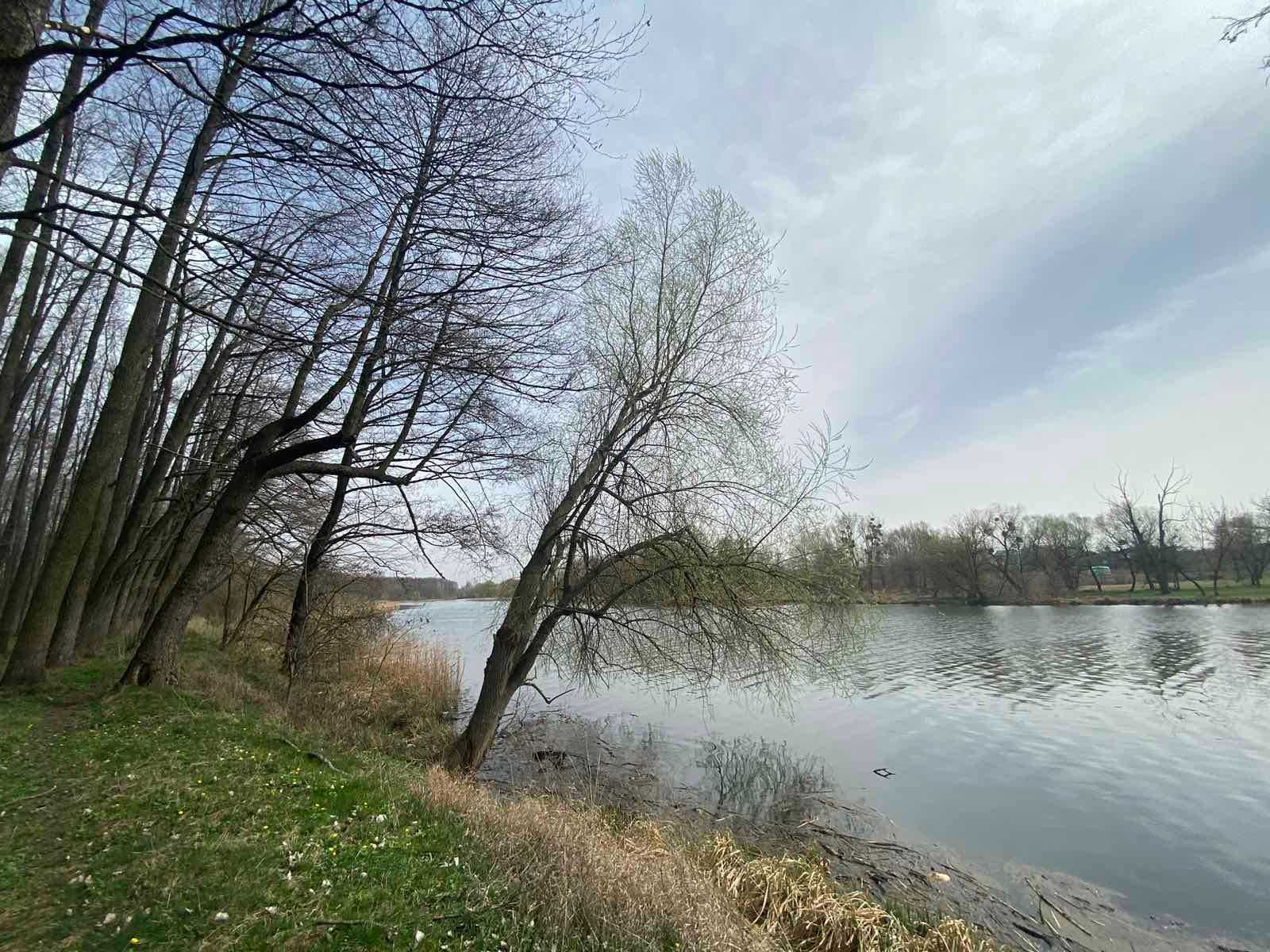 Продаж земельної ділянки під житлову забудову, площа 12 соток