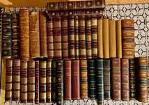 Lote livros antigos literatura - raridades