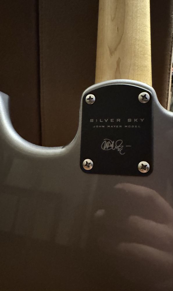 Guitarra PRS Silver Sky John Mayer Tungsten Maple