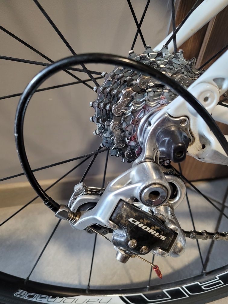 Rower szosowy Carrera karbon (rama i koła) osprzęt Campagnolo