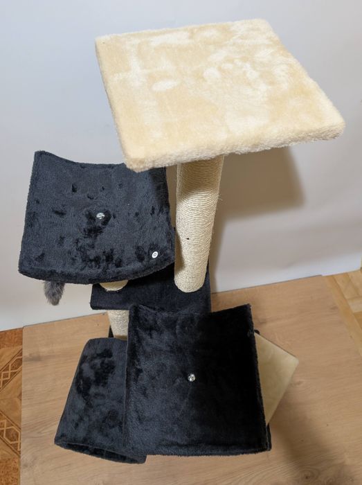 Penelope Drapak Dla Kota Ciemnoszary 55X40X116Cm ZWROT Zmodyfikowany