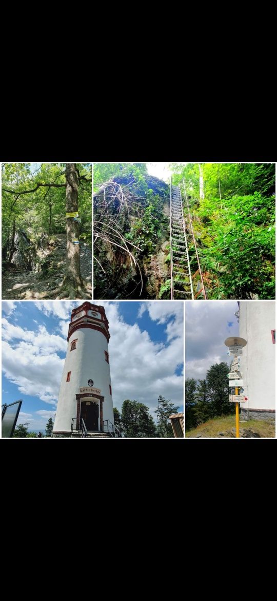 Wolny od 22.06, Dom z bali w Jarnołtówku pod Biskupią Kop