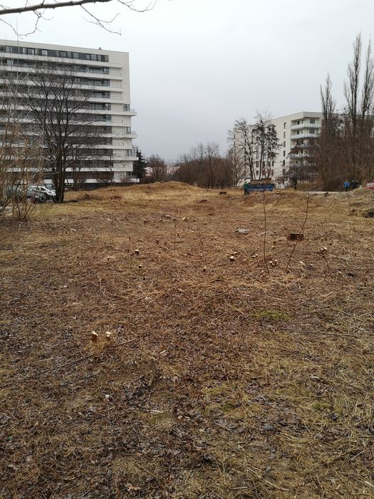 Wycinka drzew usuwanie karp wywóz karp czyszczenie działek