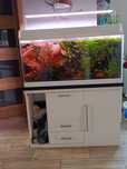 Sprzedam akwarium 250 l optiwhite razem z szafką