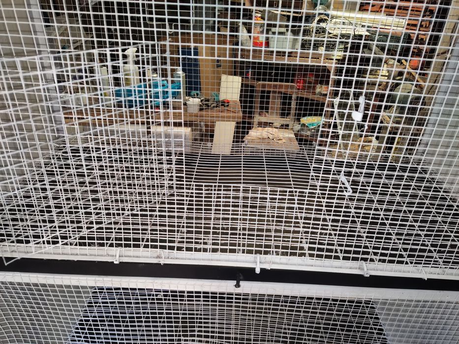 Viveiro tipo armário