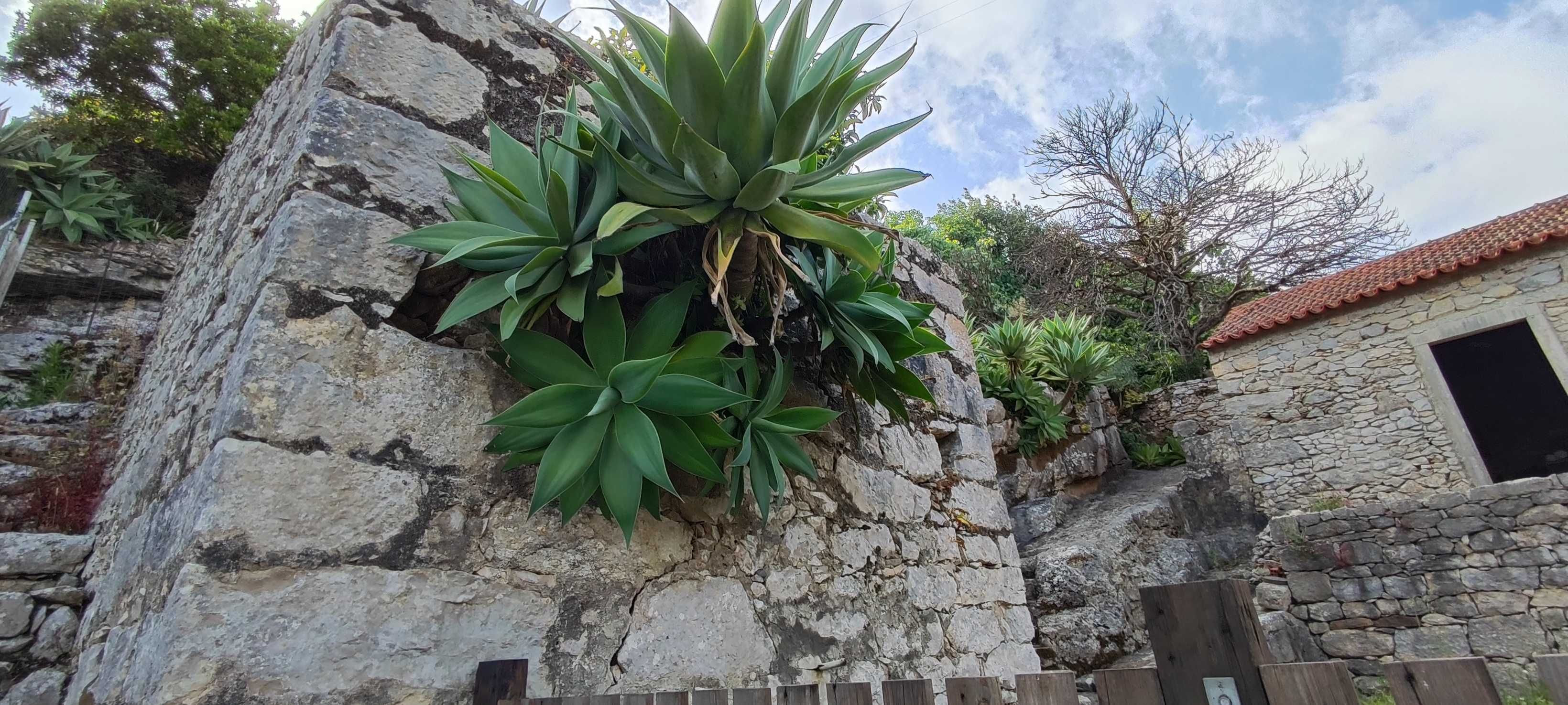 Moradia com  terreno e Grutas
