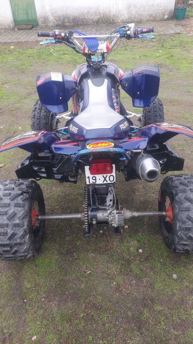 polaris predator 500