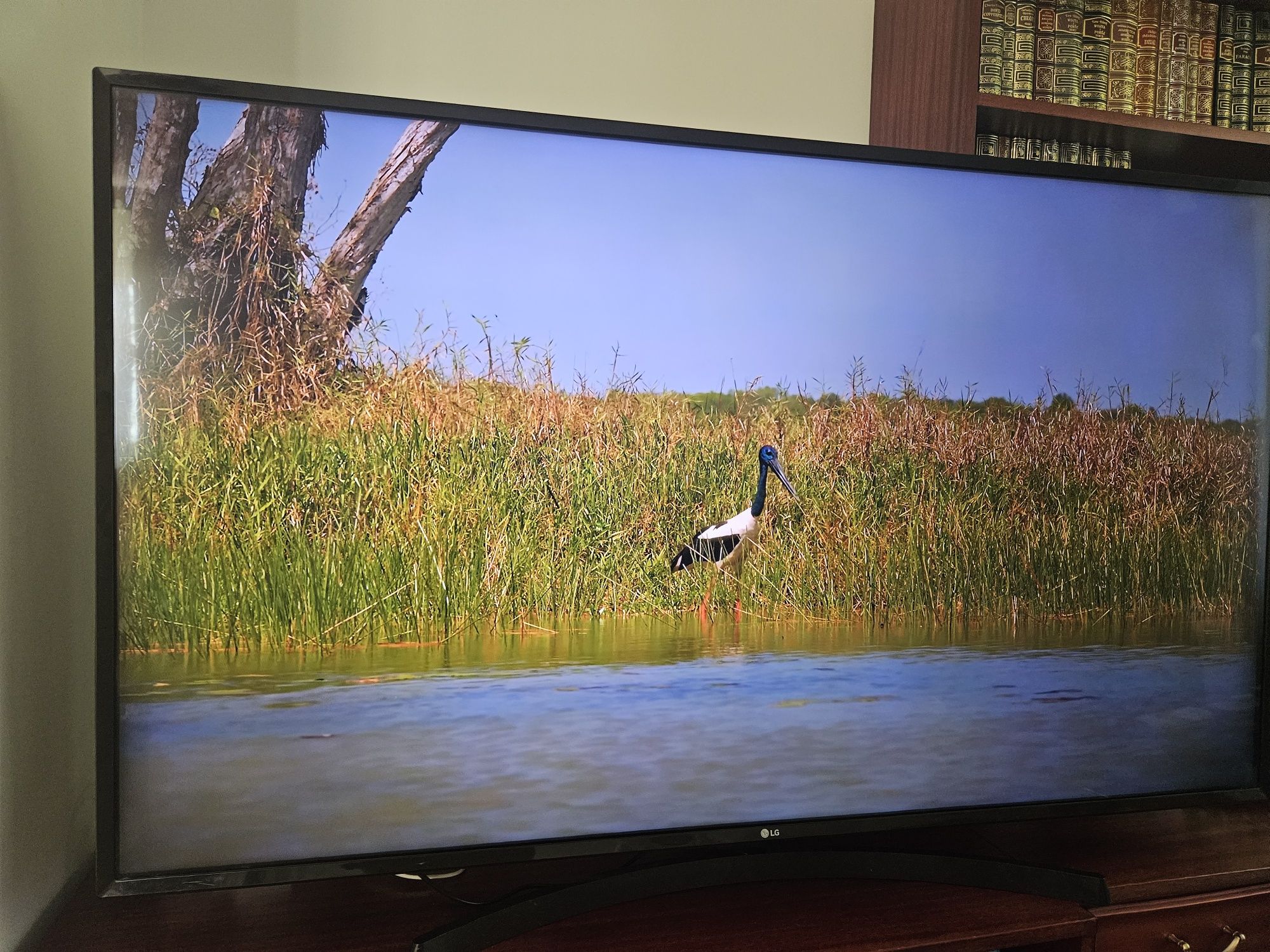 Telewizor lg 55" 55uj634v smart tv dvbt2 hevc YouTube Netflix