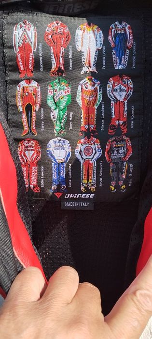 Мотокостюм dainese.