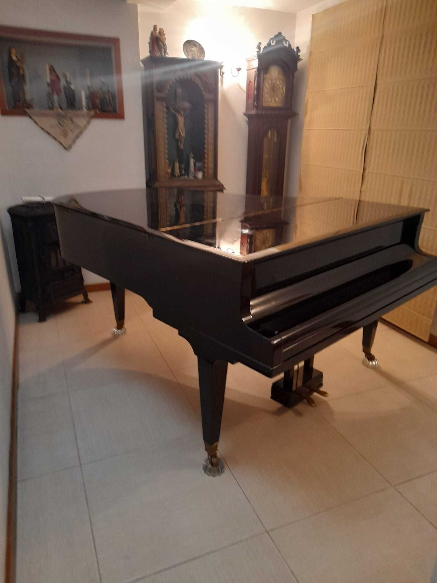 Piano Bluthner de cauda, excepcional, como novo...