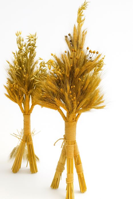 Dziad diduch okłot snop zbóża