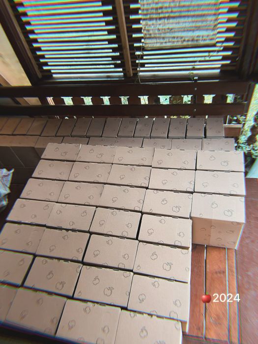 Пакет 3 л , 5 л натуральний сік яблучний