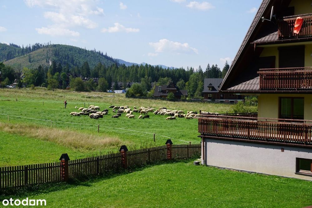 Okazja! Mieszkanie Zakopane Tanio