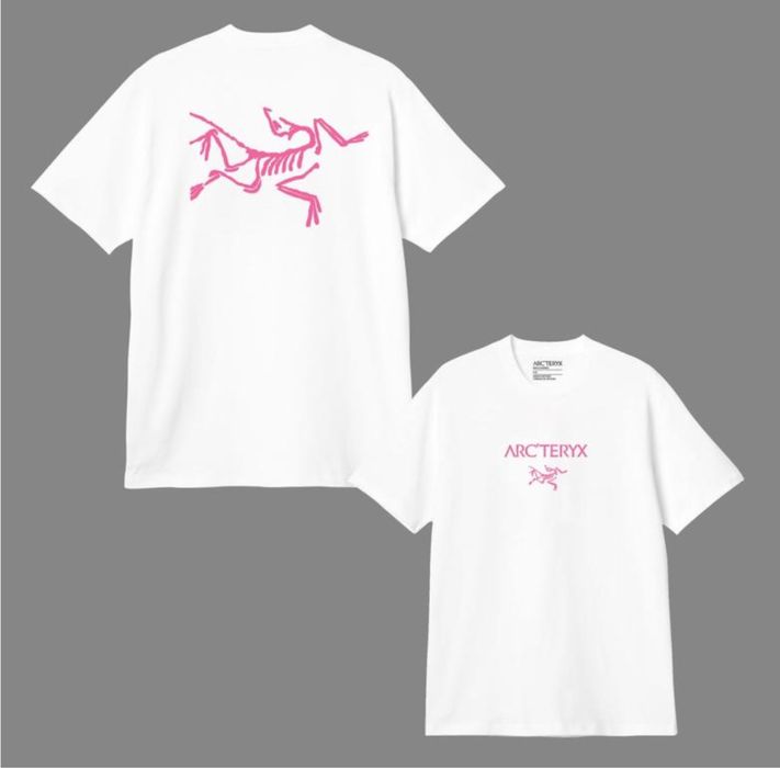Футболка мужская Arcteryx Logo черная белая Арктерикс Новинка