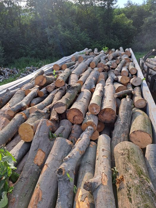 Дрова твердих порід