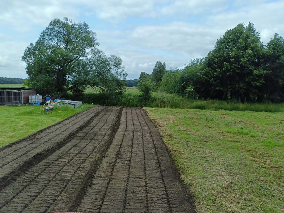 Mulczer wgłębny, Wycinka drzew, Karczowanie, Rekultywacja, Czyszczenie