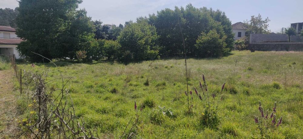 Terreno Urbano 1600 m2