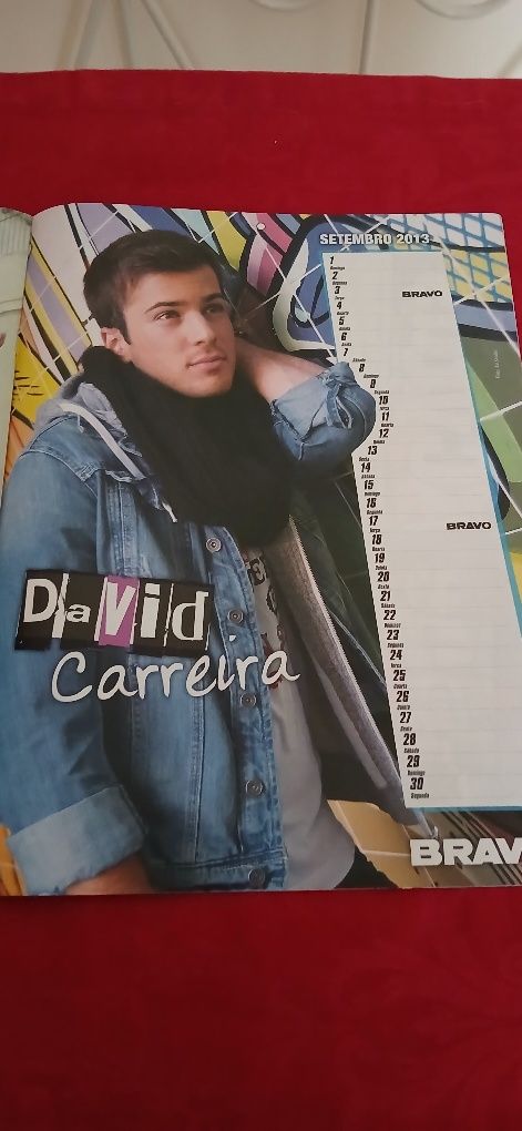 Calendário 2013, da revista Bravo, novo