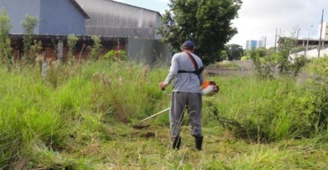 Serviços de Jardinagem e Limpeza de terrenos