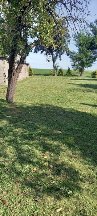 Siedlisko z działką na sprzedarz